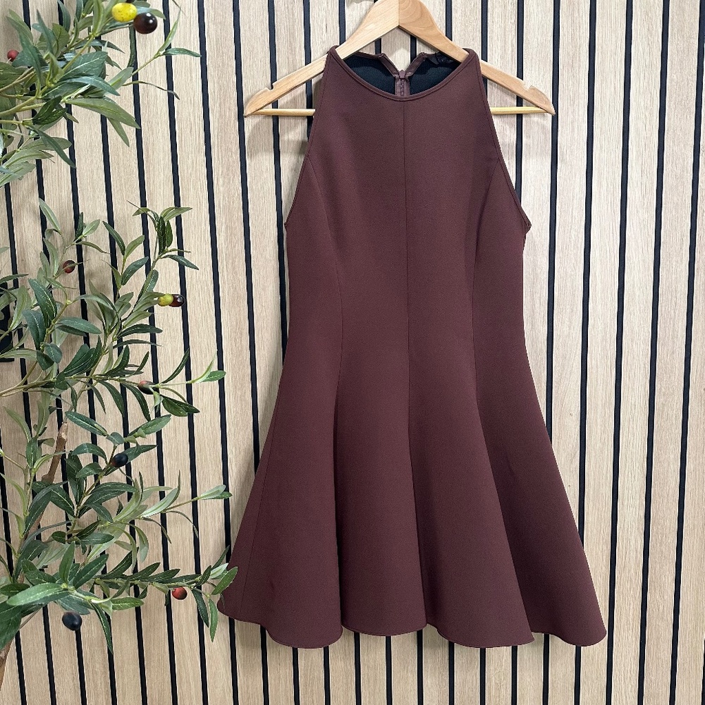 Zara Brown Sleeveless Fit-and-Flare Mini Dress